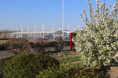 工廠綠化園林與園林景觀設(shè)計的融合實踐